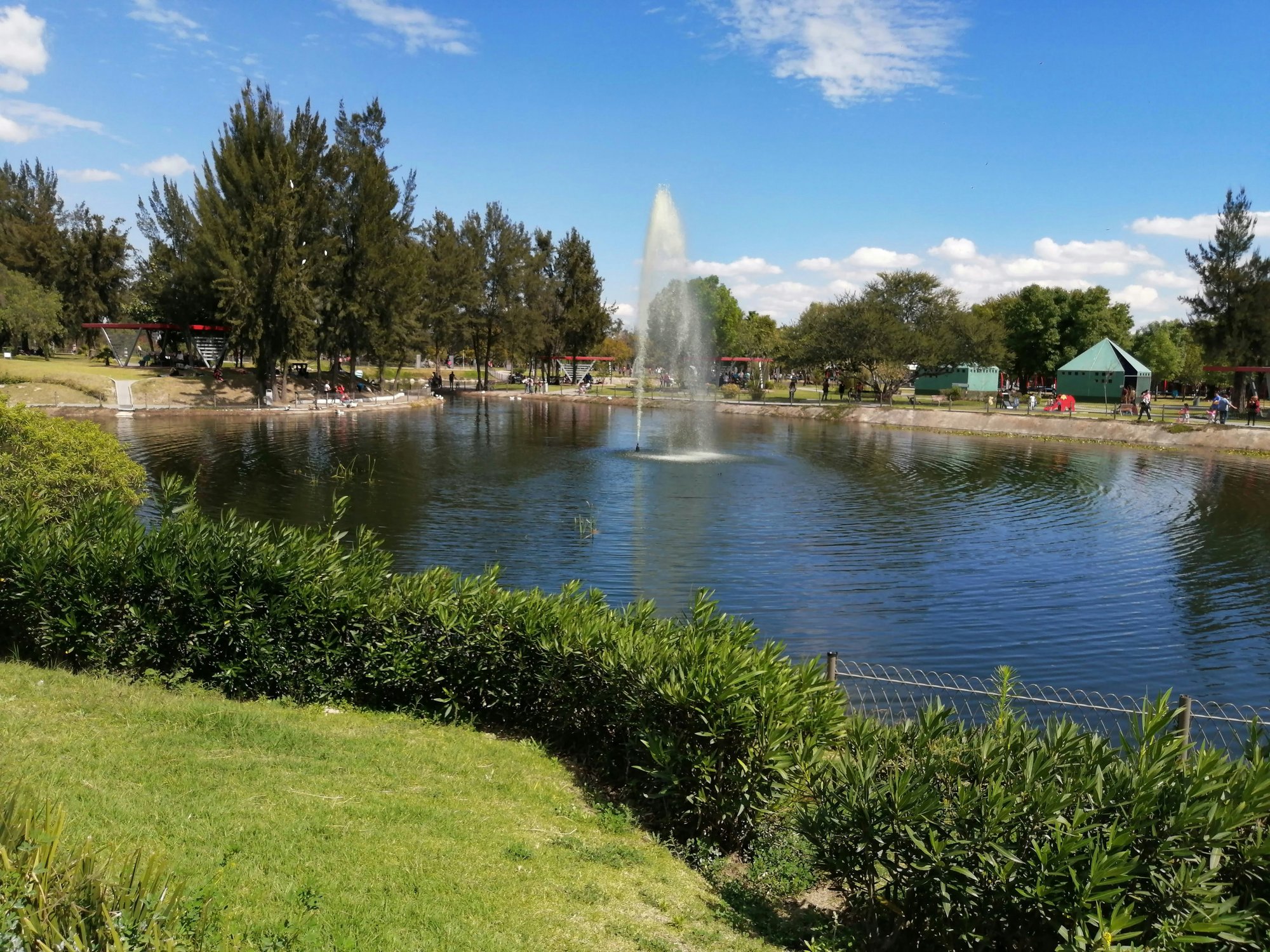 alejandra-camacho-twf-k094tMQ-unsplash