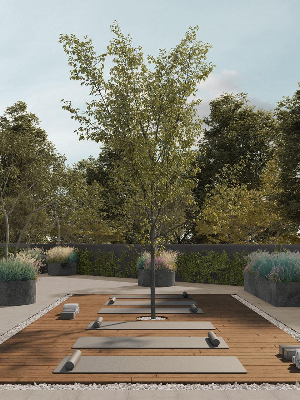 coordenada_central_01