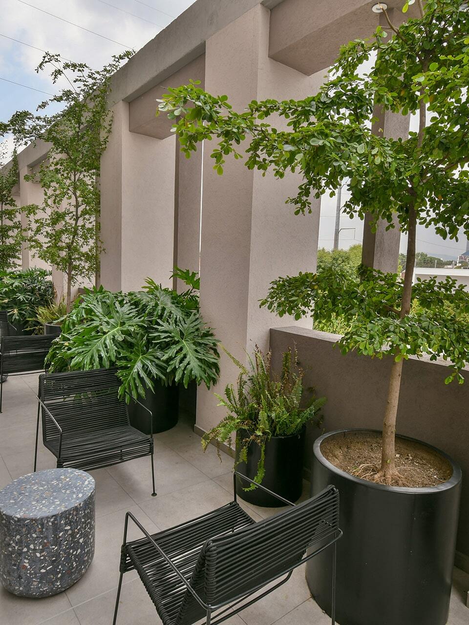 coordenada_lafayette_09